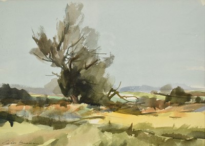 Lot 1348 - *Peter Burman (b.1950) watercolour - Willow Trees, Falkenham Marsh, signed, 24cm x 34cm, in glazed frame