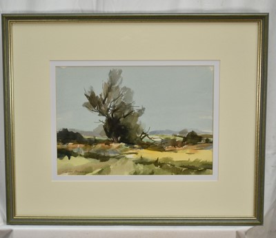 Lot 1348 - *Peter Burman (b.1950) watercolour - Willow Trees, Falkenham Marsh, signed, 24cm x 34cm, in glazed frame