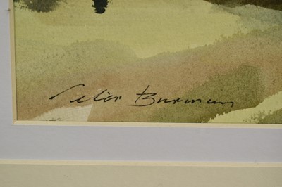 Lot 1348 - *Peter Burman (b.1950) watercolour - Willow Trees, Falkenham Marsh, signed, 24cm x 34cm, in glazed frame