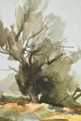 Lot 1348 - *Peter Burman (b.1950) watercolour - Willow Trees, Falkenham Marsh, signed, 24cm x 34cm, in glazed frame