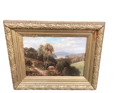 Lot 695 - English School 19th century, oils on canvas, woodland scene with the lake beyond, in gilt frame. 24 x 34cm.