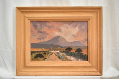 Lot 198 - Alex McKenna (Irish, b. 1943) oil on canvas board - Irish Landscape, signed, 24cm x 34cm, framed