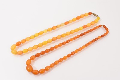 Lot 23 - Two vintage amber bead necklaces