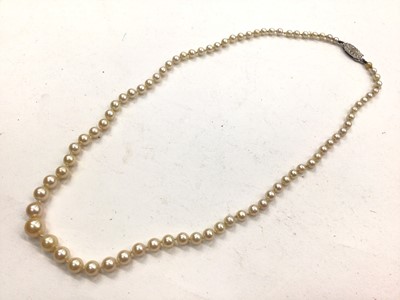 Lot 1085 - Cultured pearl necklace with silver clasp