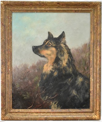 Lot 1446 - Attributed to William Grant Stevenson (1849-1919, oil on canvas - A Dog in Landscape, 49 x 40cm, in gilt frame