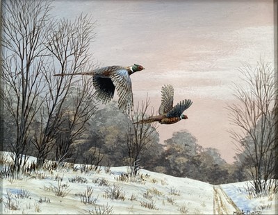 Lot 18 - Mark Chester, contemporary, pair of oils on board - Pheasants and Woodcock through the woods, signed, in gilt frames, 19cm x 24cm