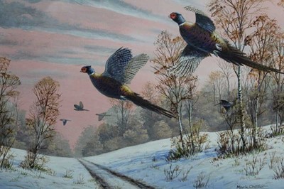 Lot 43 - Mark Chester (b. 1960) acrylic on board - Pheasants in flight over a snow covered track, signed, in glazed frame 30cm x 39cm