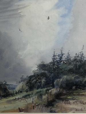 Lot 17 - Peter Partington, contemporary, watercolour - West Country Buzzards, signed, in glazed gilt frame, 38cm x 33cm