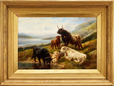 Lot 1428 - Charles Watson, early 20th century, oil on canvas - Highland Cattle, signed, 51cm x 76cm, in gilt frame