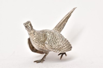 Lot 553 - Silver cock pheasant