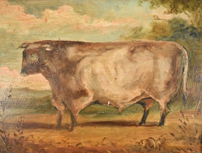 Lot 1474 - English School oil on panel - A Prize Bull, 18.5cm x 24cm, in ebonised frame