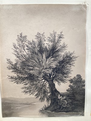 Lot 210 - James Bourne (1773-1854) pen and wash, willow on a river bank