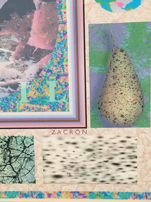 Lot 22 - Richard Drew, known as Zacron (British, 1943-2012) Archival print, 2004 - Quail, signed, inscribed and numbered 1/100, image 28 x 40cm, glazed frame