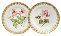 Lot 174 - Pair of 18th century Derby botanical plates...