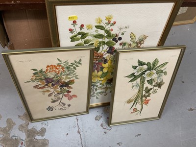 Lot 609 - Three watercolour studies of flowers