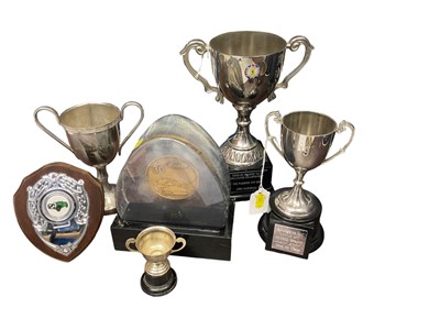 Lot 137 - Collection of six motorsport trophies including two Lotus cups and a Ford long service award.