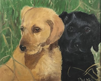 Lot 299 - Phil White, oil on board, study of two young labrador dogs, signed, framed 19 x 24cm.