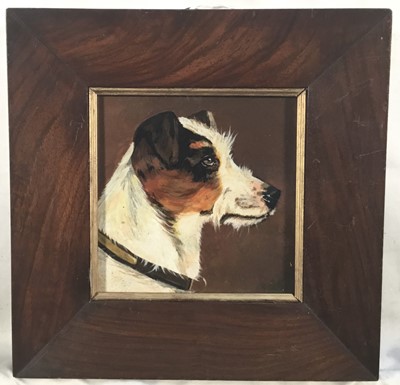 Lot 303 - English School (circa 1900) oil on board, study of a terrier's head, in rosewood frame. 12 x 12cm.