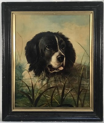 Lot 291 - William Hunt, late 19th century, oil on board, a gun dog in the marsh, signed, in black frame. 36 x 29cm.