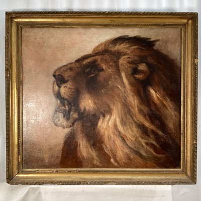 Lot 168 - English School oil on canvas - A Lion, 54cm x 61cm, framed