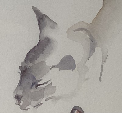 Lot 169 - Lesley Fotherby (b. 1946) watercolour - Studies of Cream II, signed, inscribed with title on reverse, 34cm x 49cm, in glazed frame. Provenance: Chris Beetles Ltd., London