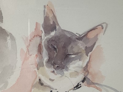 Lot 169 - Lesley Fotherby (b. 1946) watercolour - Studies of Cream II, signed, inscribed with title on reverse, 34cm x 49cm, in glazed frame. Provenance: Chris Beetles Ltd., London