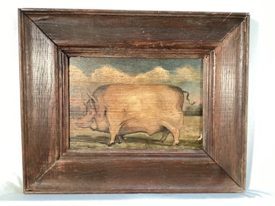 Lot 170 - English School, oil on board - A Prize Pig, 15cm x 22cm, in wooden frame