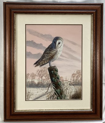 Lot 184 - Mark Chester, Contemporary, watercolour and gouache - Winter Watch, a Barn Owl, signed, 39cm x 29cm, in glazed frame