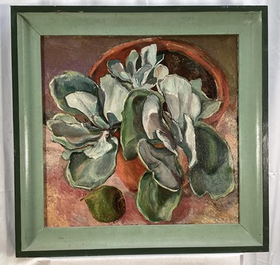 Lot 185 - Rosemary Rutherford (1912-1972) oil on canvas - Cactus, signed to frame verso, 52cm x 54cm, framed Provenance: Bury St Edmunds Art Gallery