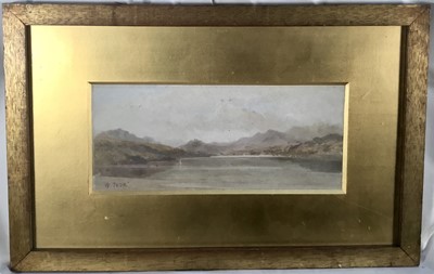 Lot 343 - William Took (act.1857-1892) oil on board - Extensive Lake, signed, 13cm x 29cm, in glazed gilt frame