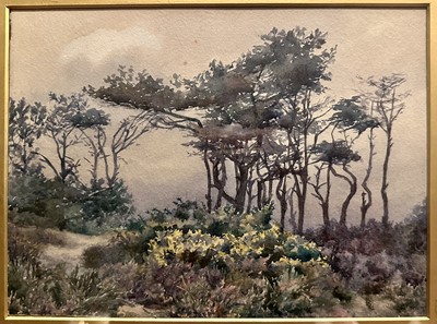 Lot 352 - English School, early 20th century, watercolour - Fir Trees, 19cm x 25cm, in glazed gilt frame