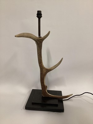 Lot 45 - Red Deer Antler lamp, 62cm including fitting, on 25cm square base