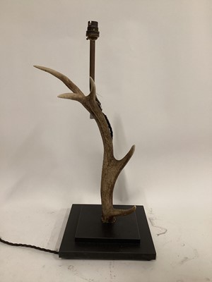 Lot 47 - Antler lamp, 59cm including fitting, 25cm square base