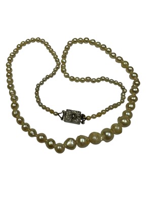 Lot 222 - Cultured pearl necklace formed as a string of graduated pearls with white metal clasp