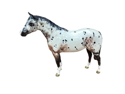 Lot 1291 - Beswick Appaloosa Stallion, model 1772, designed by Arthur Gredington