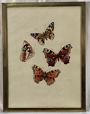 Lot 17 - Marcia Blakenham (née Hare) watercolour - Butterflies, signed with initials M.H. and dated '76, paper size 30cm x 22cm, in glazed frame