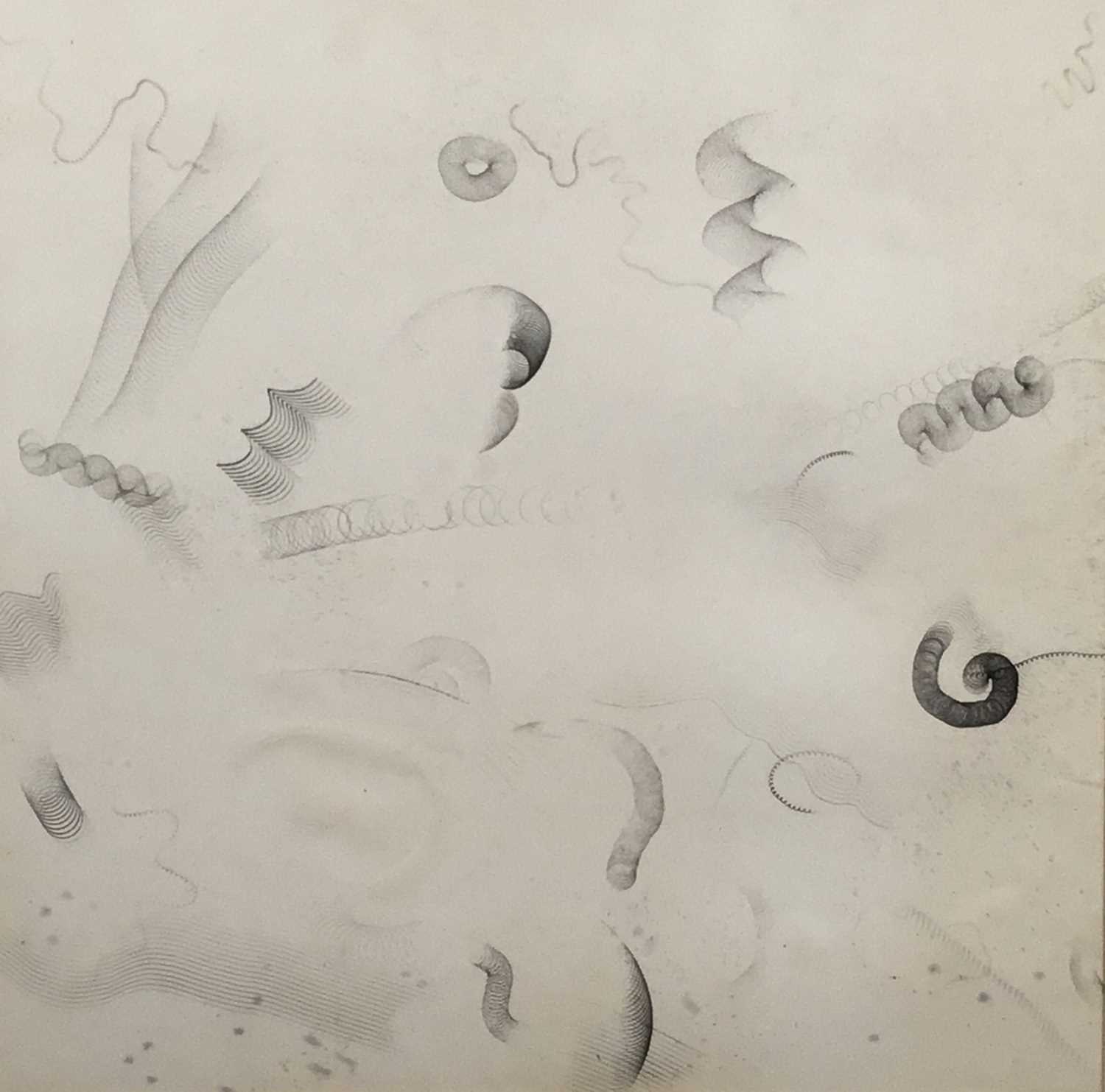 Lot 267 - Richard Drew, known as Zacron (British, 1943-2012) ink on paper - White space, 1968, signed titled and dated, 50 x 48cm, glazed frame
