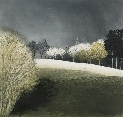 Lot 9 - Belinda King signed print - 'Storm', signed and numbered 5/100, 16cm x 17cm, in glazed frame