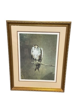 Lot 184 - Raymond Ching, signed artists proof, Falcon