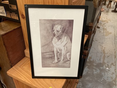 Lot 543 - Peter Blake, signed limited edition print of his dog Trump, no. 12 of 100, in glazed frame.