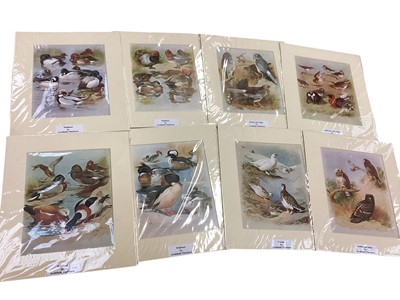 Lot 656 - Archibald Thorburn unframed coloured Bird prints, Pilot & Co unframed Counties of England prints and old masterpieces publications (1 boxes)