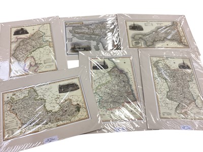 Lot 656 - Archibald Thorburn unframed coloured Bird prints, Pilot & Co unframed Counties of England prints and old masterpieces publications (1 boxes)