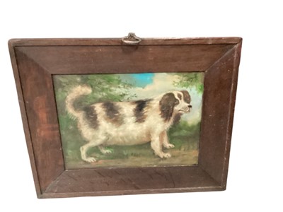 Lot 787 - Oil on panel study of a dog in a stained oak frame