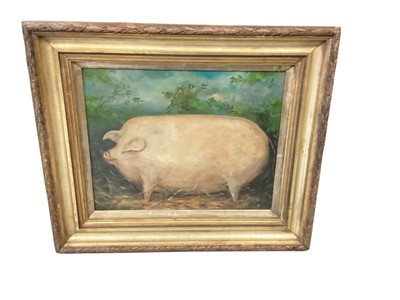 Lot 788 - Oil on panel study of a rotund pig in gilt frame