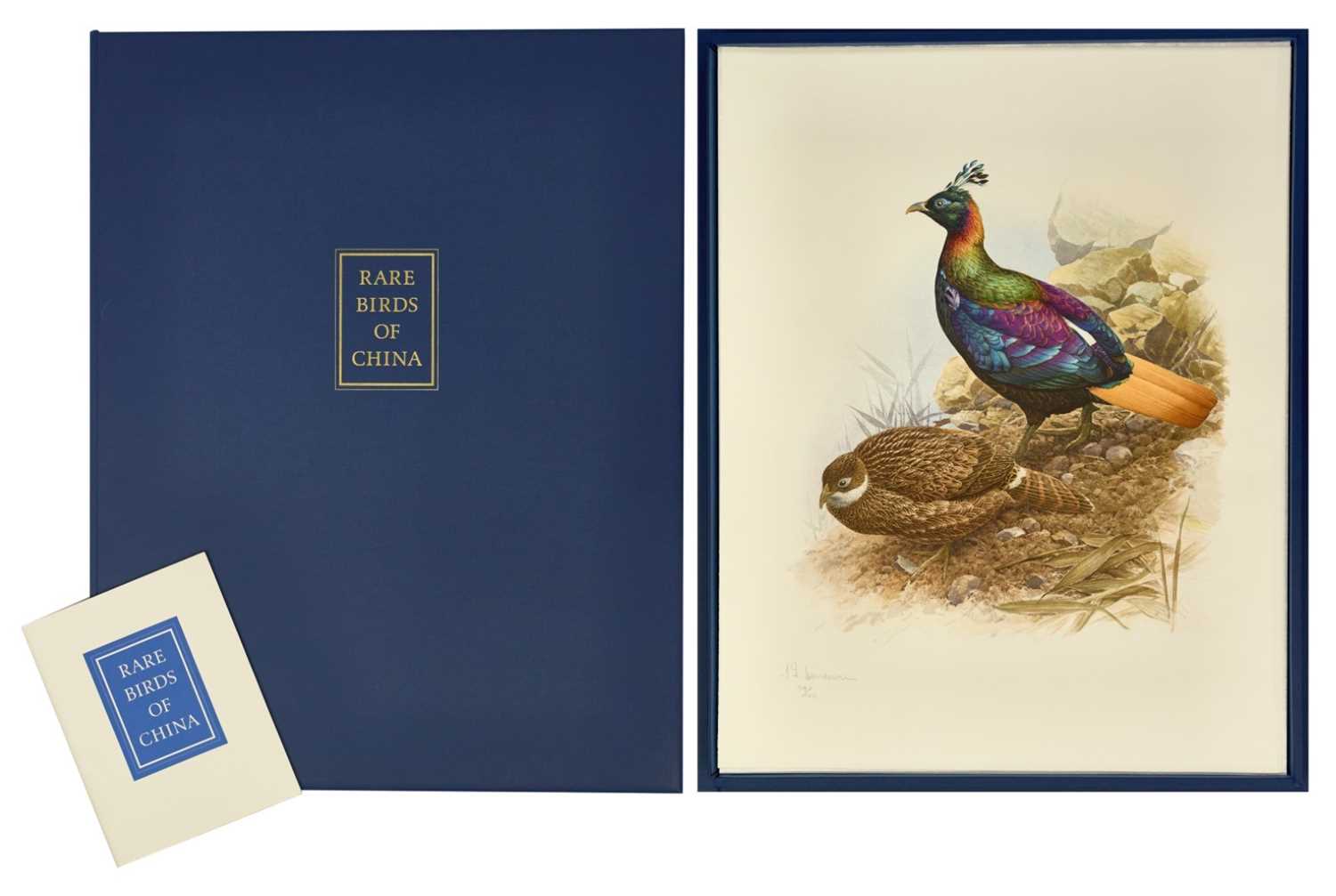 Lot 1030 - James Frederick Lansdowne (b.1937) Canadian: The rare birds of China Thirty-two lithographs