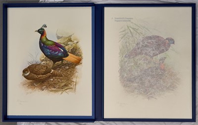 Lot 1030 - James Frederick Lansdowne (b.1937) Canadian: The rare birds of China Thirty-two lithographs