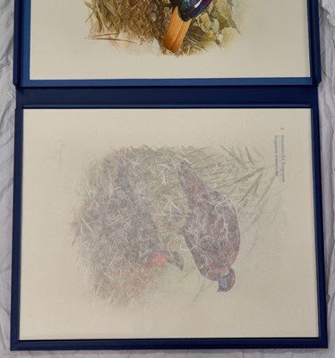Lot 1030 - James Frederick Lansdowne (b.1937) Canadian: The rare birds of China Thirty-two lithographs