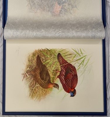 Lot 1030 - James Frederick Lansdowne (b.1937) Canadian: The rare birds of China Thirty-two lithographs