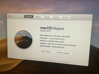 Lot 9 - Apple iMac (Retina 4K 21.5" late 2015) with mouse (No keyboard) working.