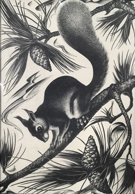 Lot 39 - Agnes Miller Parker (1895-1980) first edition woodcut - Squirrel, 1936, 17.5cm x 12.5cm, with mount unframed